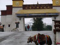 西藏之旅林芝（1）