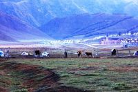 2013 新疆之旅--天池，喀纳斯，赛里木湖，那拉提，巴音布鲁克，吐鲁番8日游（2）