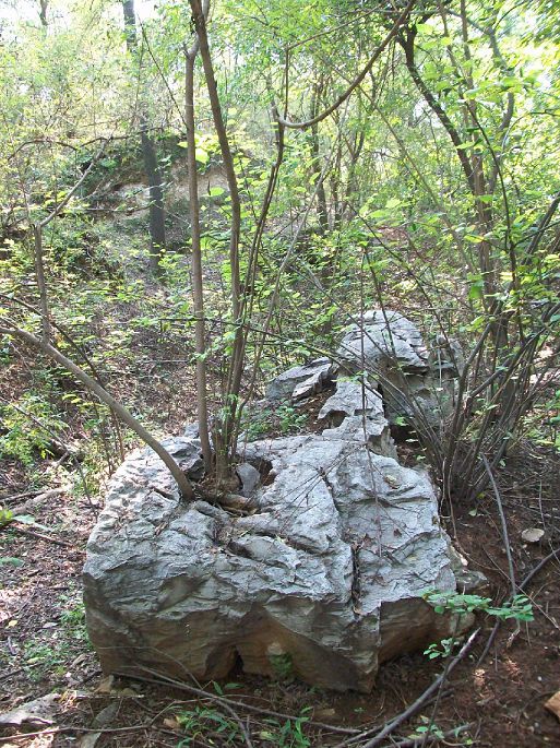 澶嶄欢 鐓х墖 821.jpg