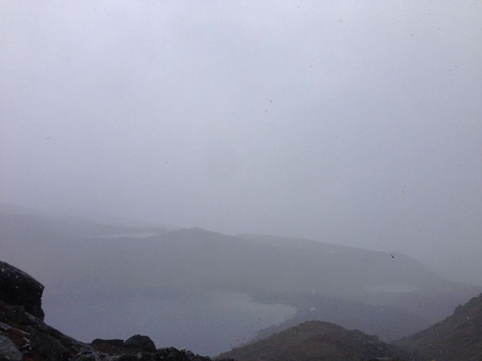 措学仁玛,雪突然大了起来