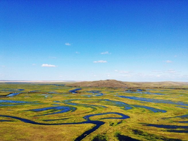 湿地2.jpg