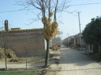 查看照片详细信息 天下民宿