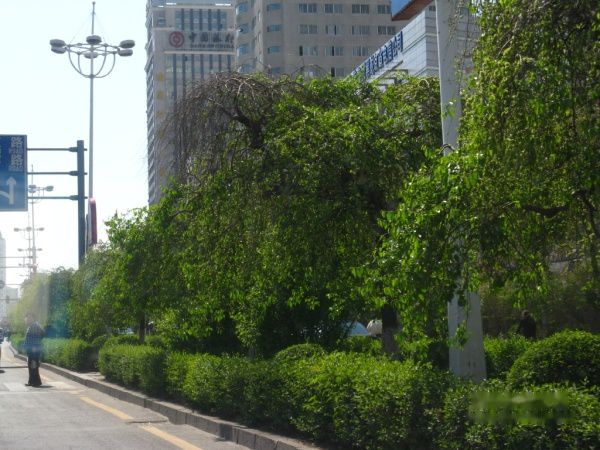 查看照片详细信息 天下民宿