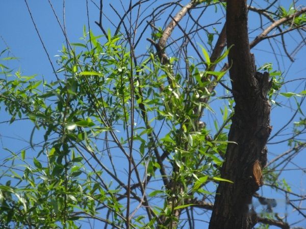 查看照片详细信息 天下民宿