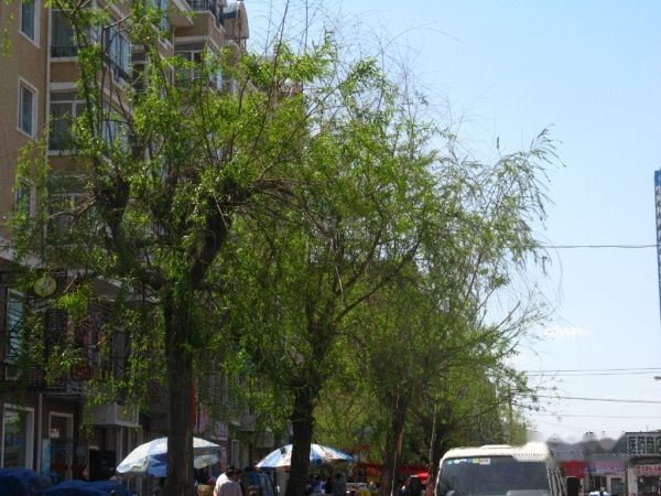 查看照片详细信息 天下民宿