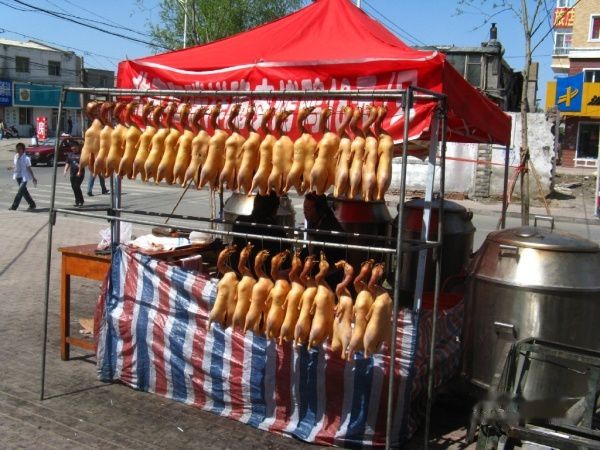 查看照片详细信息 天下民宿