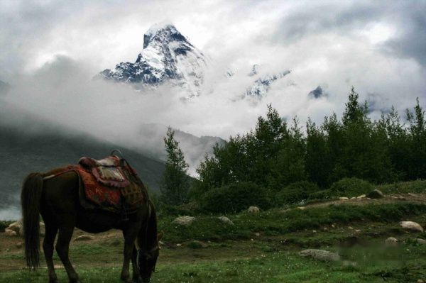 查看照片详细信息 天下民宿