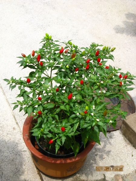 查看照片详细信息 天下民宿