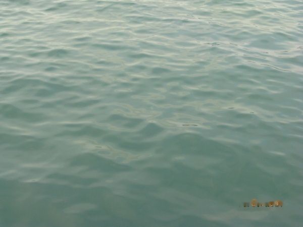 查看照片详细信息 天下民宿