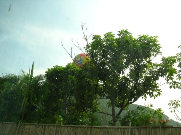 查看照片详细信息 天下民宿