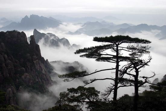 查看照片详细信息 天下民宿