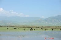 查看照片详细信息 天下民宿