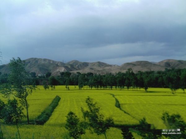 查看照片详细信息 天下民宿