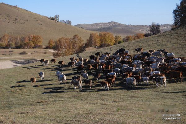 查看照片详细信息 天下民宿
