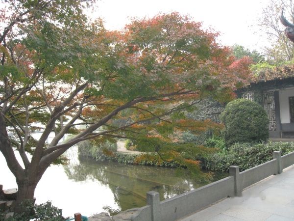 查看照片详细信息 天下民宿