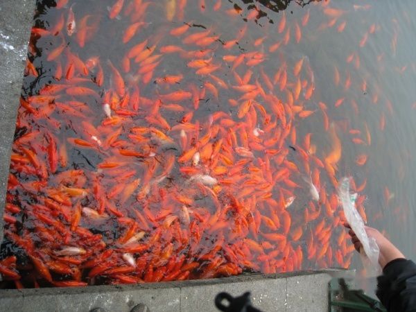 查看照片详细信息 天下民宿