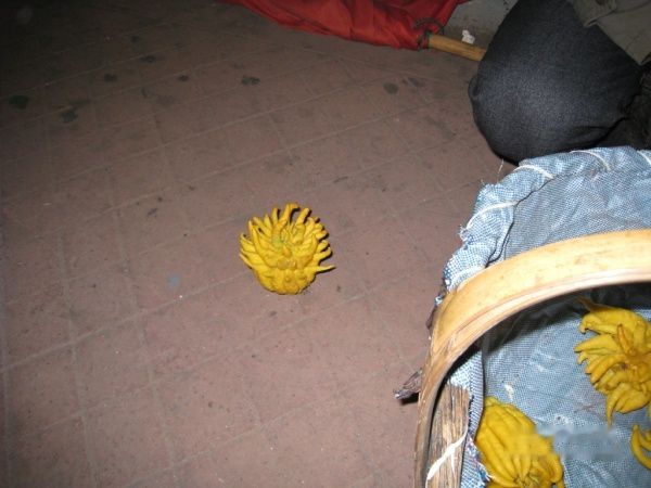 查看照片详细信息 天下民宿