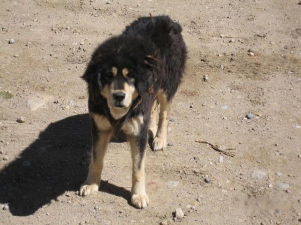 查看照片详细信息 天下民宿