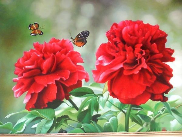 查看照片详细信息 天下民宿