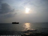 查看照片详细信息 天下民宿