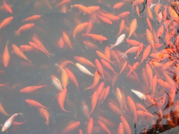 查看照片详细信息 天下民宿