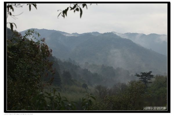 查看照片详细信息 天下民宿