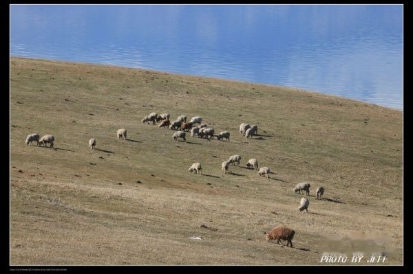 查看照片详细信息 天下民宿