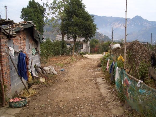 查看照片详细信息 天下民宿