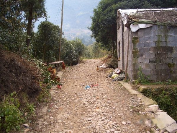 查看照片详细信息 天下民宿