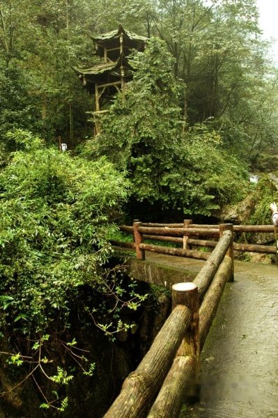 查看照片详细信息 天下民宿