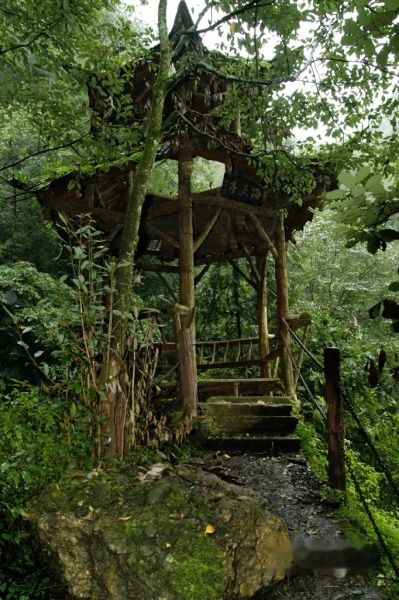 查看照片详细信息 天下民宿