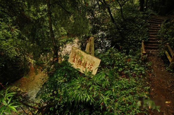 查看照片详细信息 天下民宿