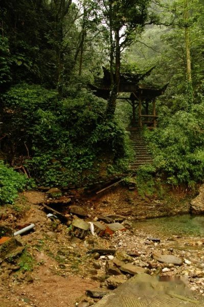 查看照片详细信息 天下民宿