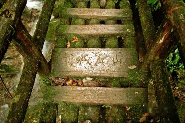 查看照片详细信息 天下民宿