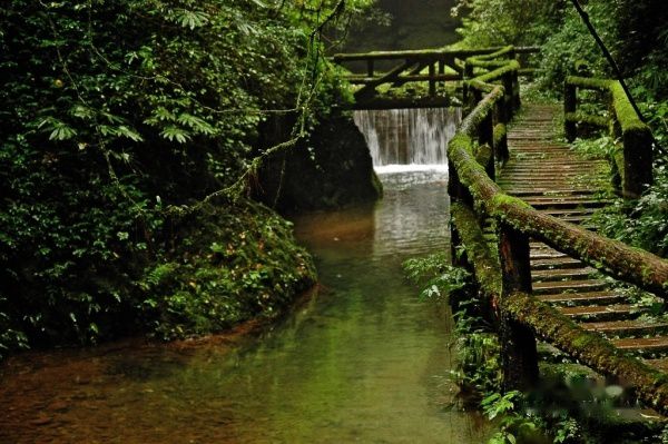 查看照片详细信息 天下民宿