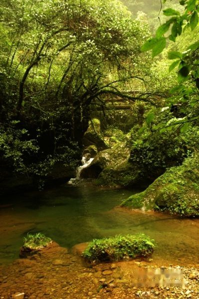查看照片详细信息 天下民宿