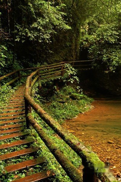 查看照片详细信息 天下民宿