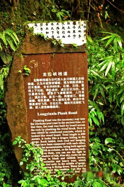 查看照片详细信息 天下民宿