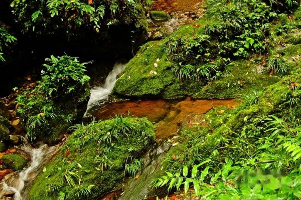 查看照片详细信息 天下民宿