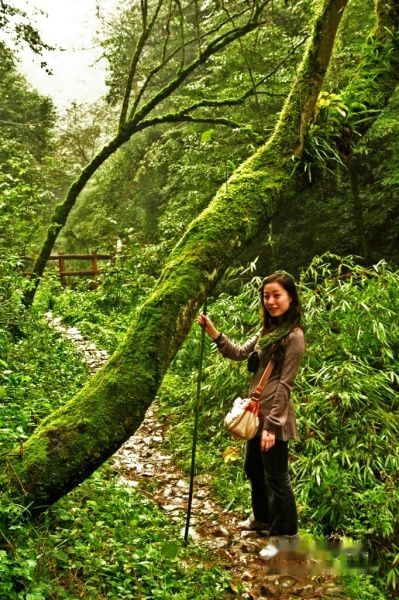 查看照片详细信息 天下民宿