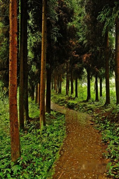 查看照片详细信息 天下民宿