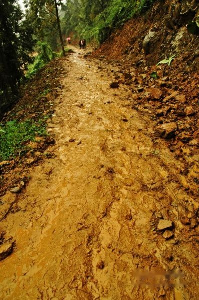 查看照片详细信息 天下民宿