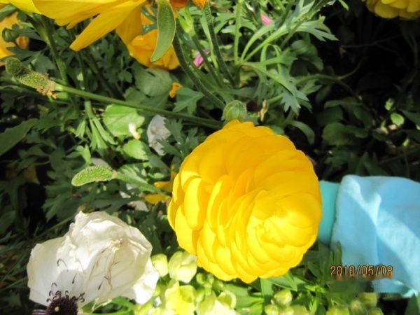 查看照片详细信息 天下民宿