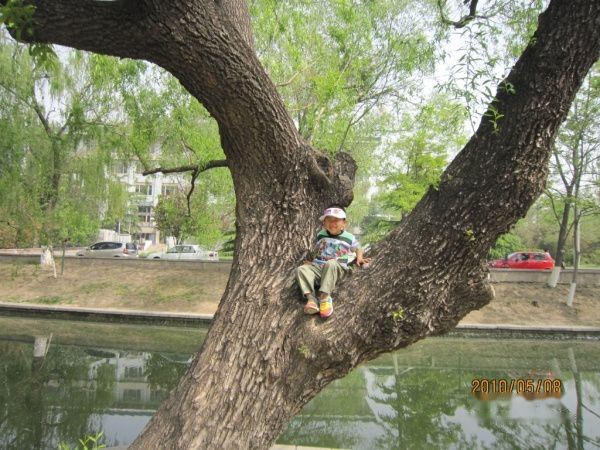 查看照片详细信息 天下民宿