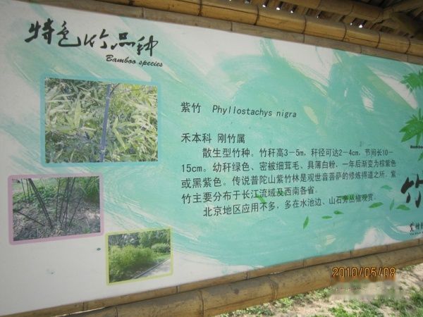 查看照片详细信息 天下民宿