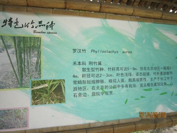 查看照片详细信息 天下民宿