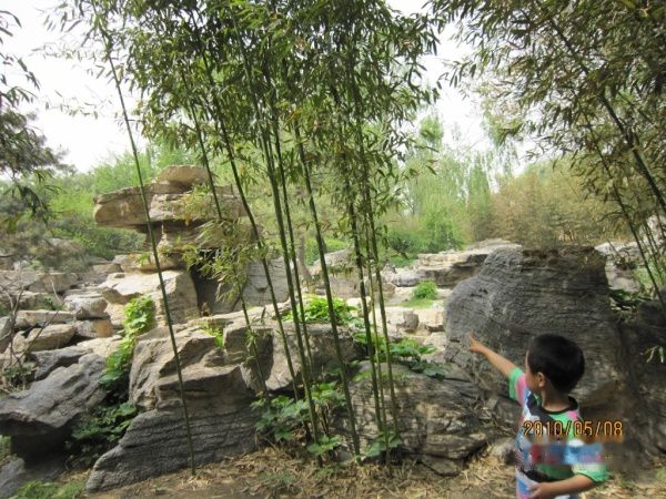 查看照片详细信息 天下民宿