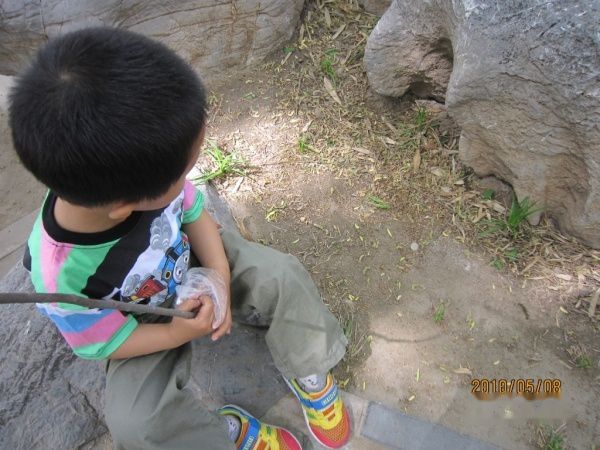 查看照片详细信息 天下民宿