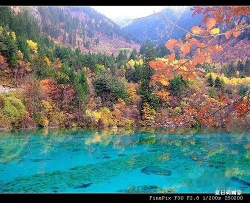 查看照片详细信息 天下民宿