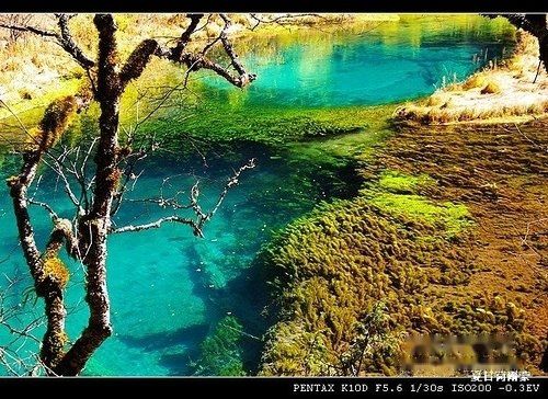 查看照片详细信息 天下民宿